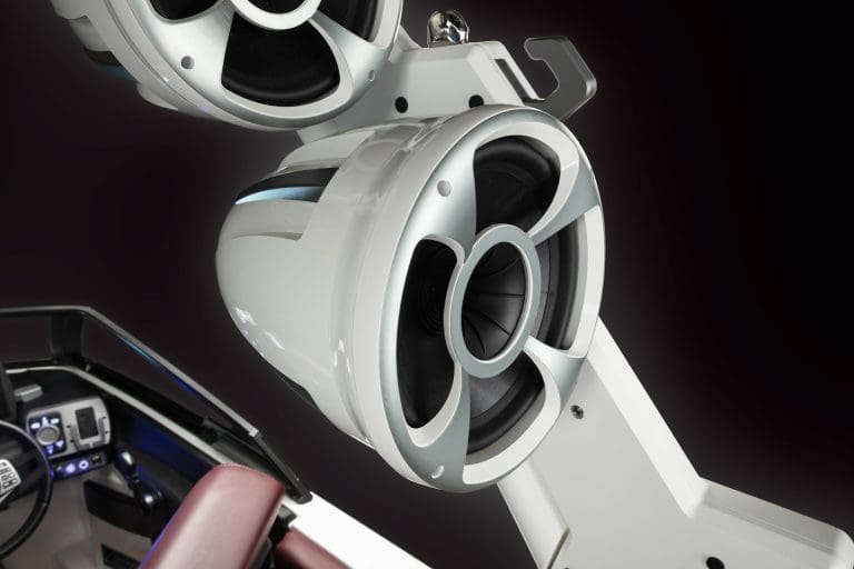 Read more about the article WS Rev 10 Tower Speakers