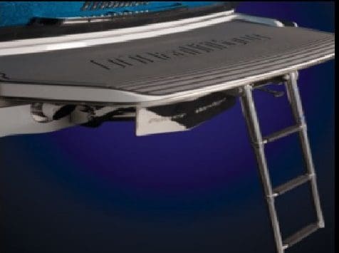 Read more about the article Swimstep Ladder, Dealer Install